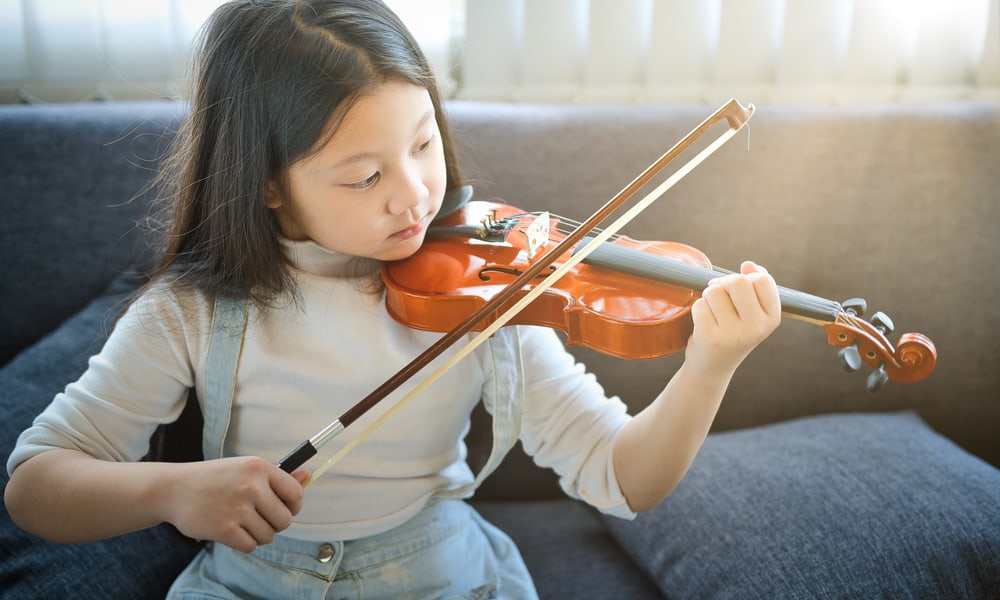 Disadvantages of Learning Violin