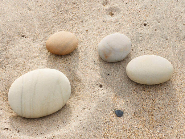 17 Most Valuable Beach Stones Worth Money