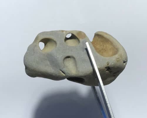 Natural Holey Beach Rock Hag Stone Pen Holder Wiccan Healing Amulet