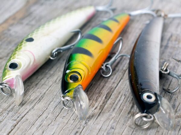 17 Most Valuable Rare Antique Fishing Lures Worth Money