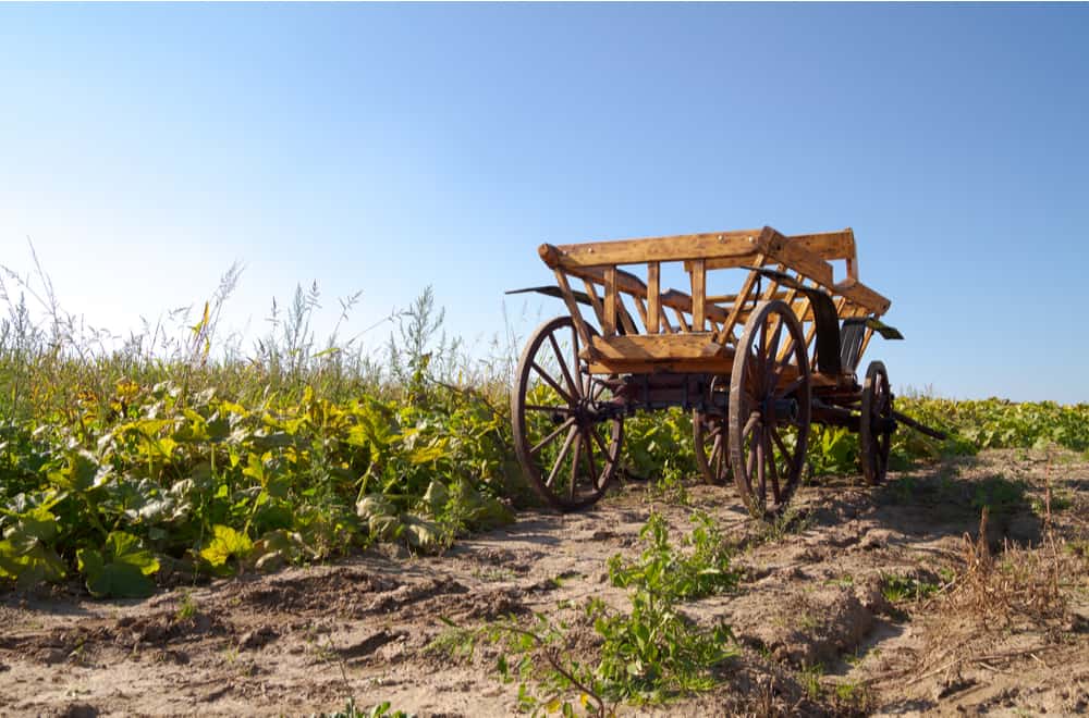 Antique Farm Wagons Use