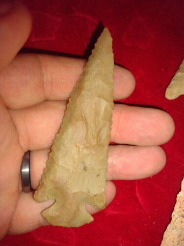 Authentic Ohio Beveled Serrated St. Charles Dovetail Indian Arrowhead