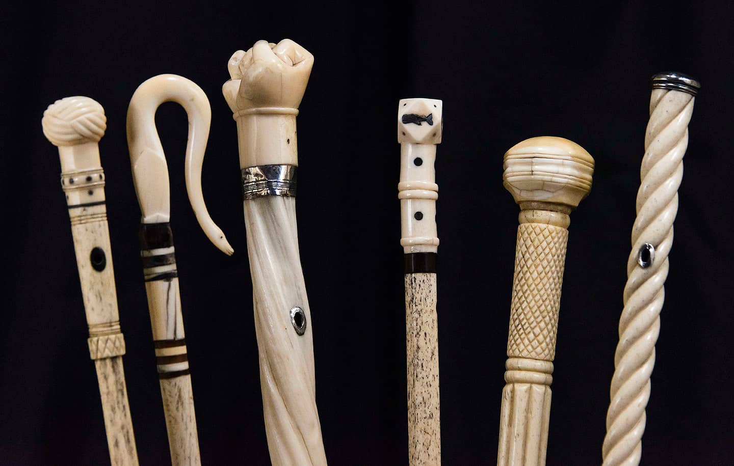 Professional cane