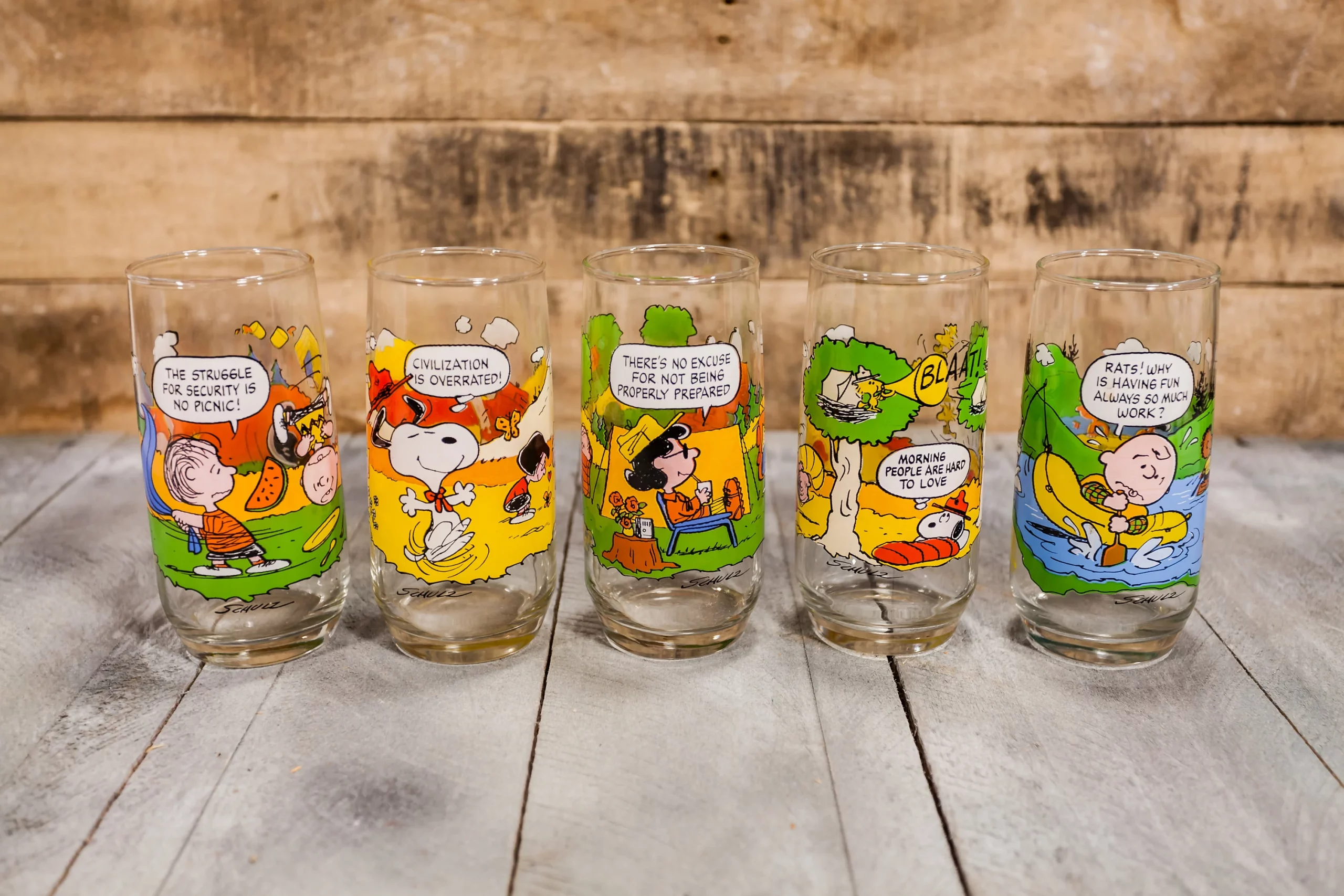 Vintage 1950-1968 Charlie Brown Camp Snoopy Collection Drinking Glass
