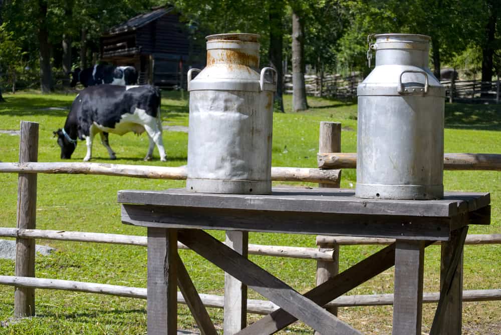 Antique Milk Cans