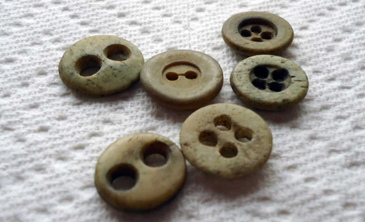 Old Bone Buttons